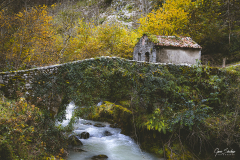 1_Tielve-puente