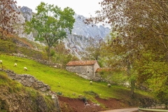 Cabrales