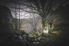 Otono-en-Asturias-01