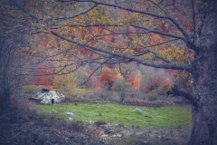 Otono-paisaje-Asturias