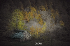 Paisaje-de-otono-asturiano