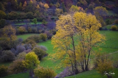 Paisaje-otoño-Somiedo