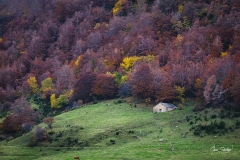 Somiedo-otoño
