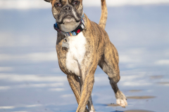 Heidi-en-la-playa