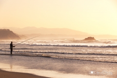 Pescando al atardecer