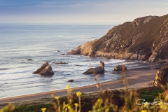 Playa de Bayas 01
