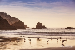 Playa de Munielles Castrillón