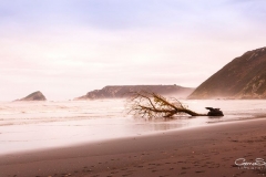 Playa de loa Quebrantos
