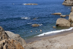 Playa de la Cagonera Gijón