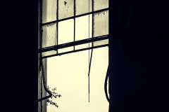 Antigua-fabrica-ventana