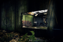 Musgo-y-humedad-en-el-interior