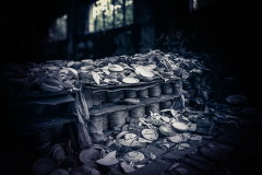 Restos-de-vajillas-crudas