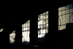 San-Claudio-ventanales