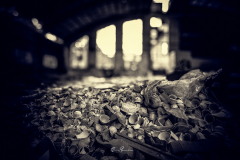 Vajilla-abandonada-San-Claudio