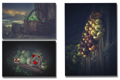 Unidad-expo.-rural-3-copy