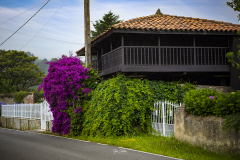 Horreo-en-Somao