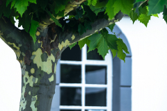 Ventana-Somao