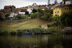 El-Castillo-Soto-del-barco
