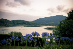 Mirando-al-Nalon-atardecer