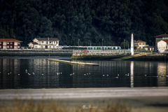 San-Juan-de-la-Arena-Puerto