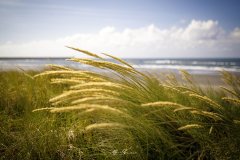 San-Juan-de-la-Arena