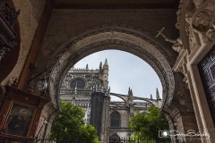Catedral de Sevilla