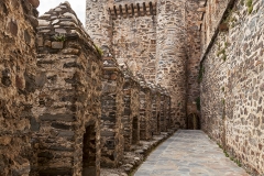 castillo templario